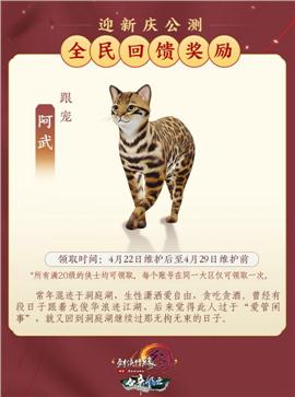 带地丁天龙八部私服